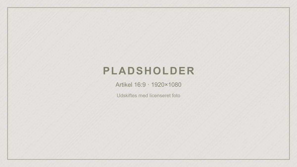 Grafisk pladsholder med teksten PLADSHOLDER. Artiklen er endnu ikke illustreret, og billedet viser ikke en ret fra sitet.
